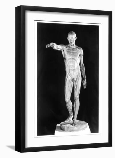 Flayed Body-Jean-Antoine Houdon-Framed Giclee Print