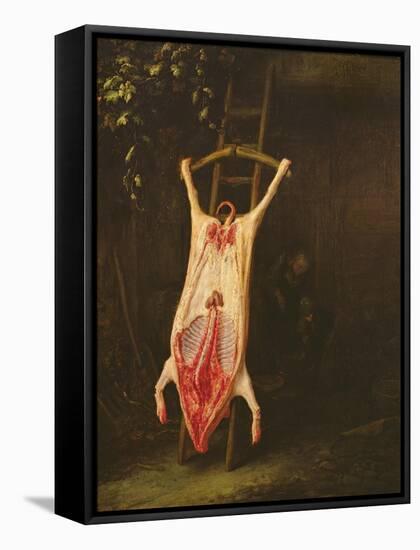 Flayed Pig-Adriaen Jansz. Van Ostade-Framed Stretched Canvas