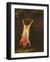 Flayed Pig-Adriaen Jansz. Van Ostade-Framed Giclee Print