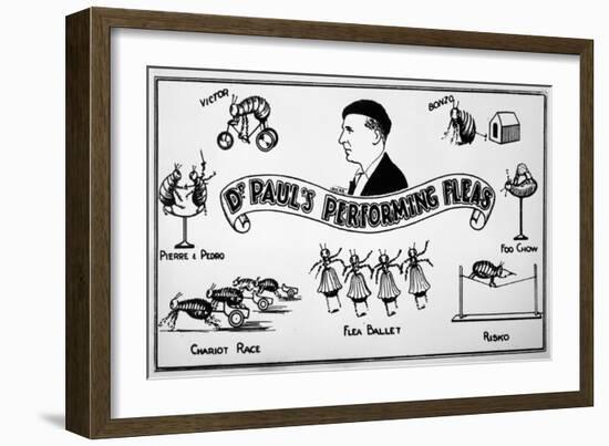 Flea Circus, Dr Paul-null-Framed Art Print