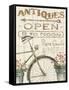 Flea Market Bike-Wild Apple Portfolio-Framed Stretched Canvas