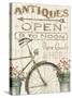 Flea Market Bike-Wild Apple Portfolio-Stretched Canvas