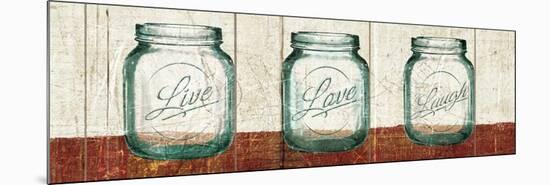 Flea Market Mason Jars Panel II Table-Hugo Wild-Mounted Premium Giclee Print