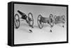 Flea Pulling Miniature Chariot-Joseph Schuppe-Framed Stretched Canvas