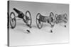 Flea Pulling Miniature Chariot-Joseph Schuppe-Stretched Canvas