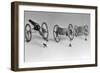 Flea Pulling Miniature Chariot-Joseph Schuppe-Framed Photographic Print