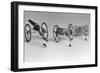 Flea Pulling Miniature Chariot-Joseph Schuppe-Framed Photographic Print