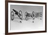 Flea Pulling Miniature Chariot-Joseph Schuppe-Framed Photographic Print