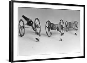 Flea Pulling Miniature Chariot-Joseph Schuppe-Framed Photographic Print