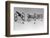 Flea Pulling Miniature Chariot-Joseph Schuppe-Framed Photographic Print