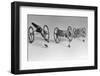 Flea Pulling Miniature Chariot-Joseph Schuppe-Framed Photographic Print