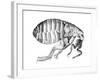 Flea, Wingless Bloodsucking Parasitic Insect, 1665-null-Framed Giclee Print