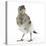 Fledgling Pied Wagtail (Motacilla Alba) Portrait Standing Upright and Facing Camera-Mark Taylor-Stretched Canvas