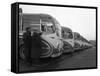 Fleet of Aec Regal Mk4S Belonging to Philipsons Coaches, Goldthorpe, South Yorkshire, 1963-Michael Walters-Framed Stretched Canvas