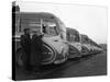 Fleet of Aec Regal Mk4S Belonging to Philipsons Coaches, Goldthorpe, South Yorkshire, 1963-Michael Walters-Stretched Canvas