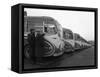 Fleet of Aec Regal Mk4S Belonging to Philipsons Coaches, Goldthorpe, South Yorkshire, 1963-Michael Walters-Framed Stretched Canvas