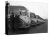 Fleet of Aec Regal Mk4S Belonging to Philipsons Coaches, Goldthorpe, South Yorkshire, 1963-Michael Walters-Stretched Canvas