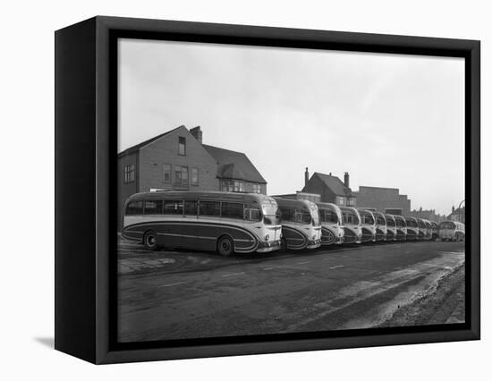 Fleet of Aec Regal Mk4S Belonging to Philipsons Coaches, Goldthorpe, South Yorkshire, 1963-Michael Walters-Framed Stretched Canvas