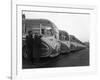 Fleet of Aec Regal Mk4S Belonging to Philipsons Coaches, Goldthorpe, South Yorkshire, 1963-Michael Walters-Framed Photographic Print