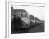 Fleet of Aec Regal Mk4S Belonging to Philipsons Coaches, Goldthorpe, South Yorkshire, 1963-Michael Walters-Framed Photographic Print