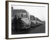 Fleet of Aec Regal Mk4S Belonging to Philipsons Coaches, Goldthorpe, South Yorkshire, 1963-Michael Walters-Framed Photographic Print