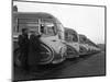 Fleet of Aec Regal Mk4S Belonging to Philipsons Coaches, Goldthorpe, South Yorkshire, 1963-Michael Walters-Mounted Photographic Print