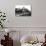 Fleet of Cars at Castle Malwood, Hampshire-null-Photographic Print displayed on a wall