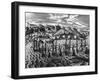 Fleet of Galleons in Acapulco Port-Theodor de Bry-Framed Giclee Print