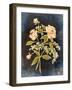 Fleeting Blooms I-Julia Purinton-Framed Art Print