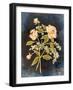 Fleeting Blooms I-Julia Purinton-Framed Art Print