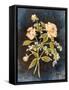 Fleeting Blooms I-Julia Purinton-Framed Stretched Canvas