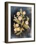 Fleeting Blooms II-Julia Purinton-Framed Art Print