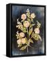 Fleeting Blooms II-Julia Purinton-Framed Stretched Canvas
