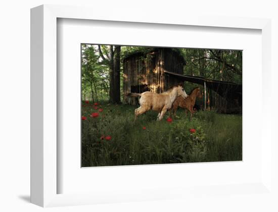 Fleeting Youth-Steve Hunziker-Framed Art Print