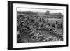 Fleets of Motorcyles at the Outbreak of War-null-Framed Photographic Print