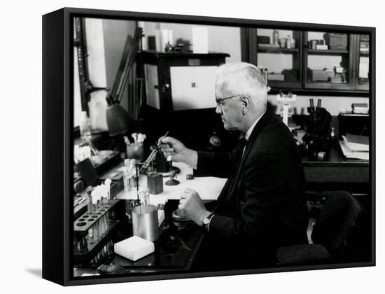 Fleming in His Lab 1952-null-Framed Stretched Canvas