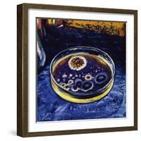 Fleming Noticed That a Fungus Had Killed Nearby Germs-null-Framed Giclee Print