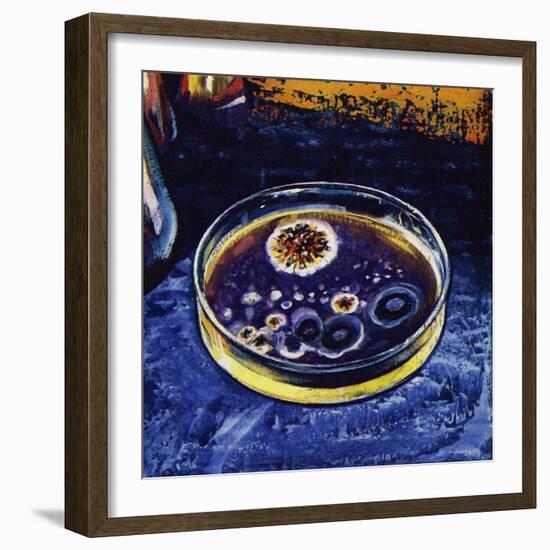 Fleming Noticed That a Fungus Had Killed Nearby Germs-null-Framed Giclee Print