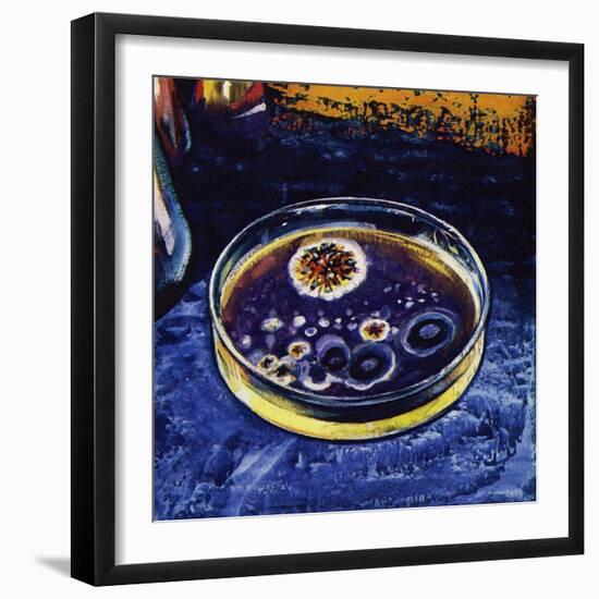 Fleming Noticed That a Fungus Had Killed Nearby Germs-null-Framed Giclee Print