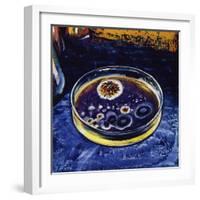 Fleming Noticed That a Fungus Had Killed Nearby Germs-null-Framed Giclee Print