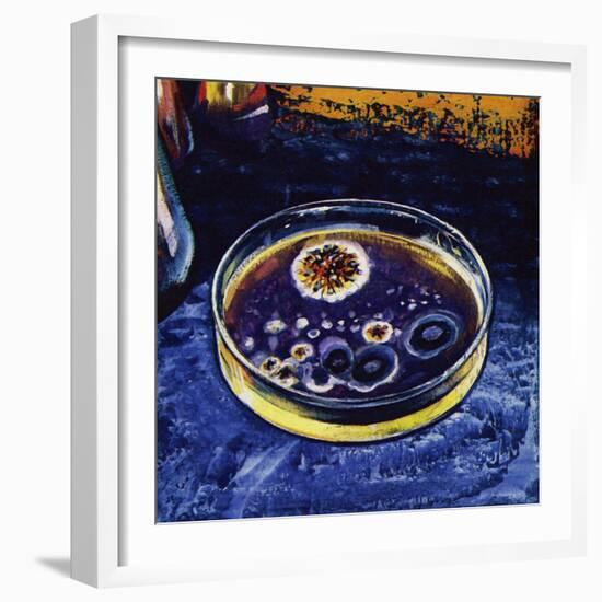 Fleming Noticed That a Fungus Had Killed Nearby Germs-null-Framed Giclee Print