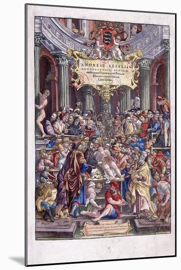 Flemish Anatomist and Physician-null-Mounted Giclee Print