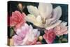 Flemish Fantasy Rose Crop-Julia Purinton-Stretched Canvas