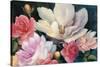 Flemish Fantasy Rose Crop-Julia Purinton-Stretched Canvas