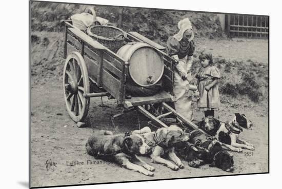 Flemish Milkmaid and Mobile Dairy-null-Mounted Photographic Print