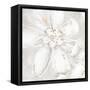 Fleur Blanc 1-Jurgen Gottschlag-Framed Stretched Canvas