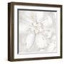 Fleur Blanc 1-Jurgen Gottschlag-Framed Art Print