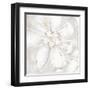 Fleur Blanc 1-Jurgen Gottschlag-Framed Art Print