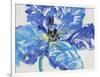 Fleur Bleue I-Tim OToole-Framed Art Print