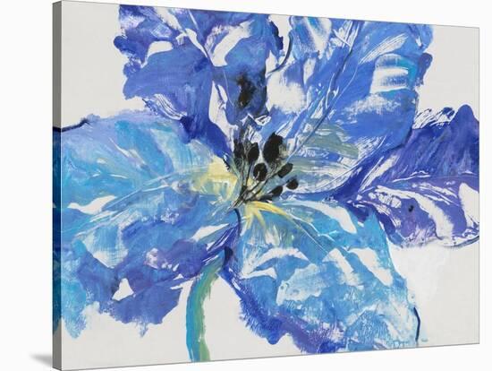 Fleur Bleue I-Tim OToole-Stretched Canvas